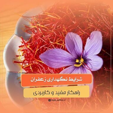شرایط و نگهداری زعفران